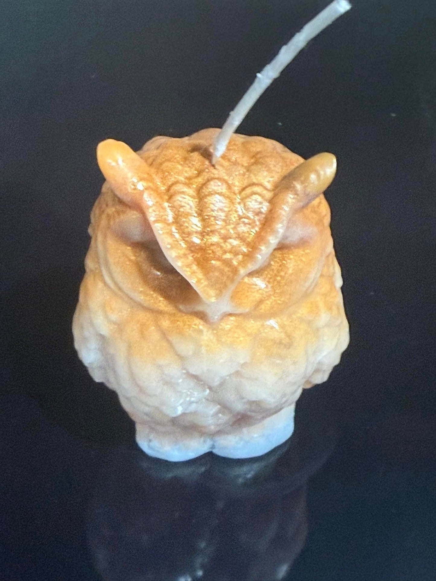 Beautiful Owl Candle