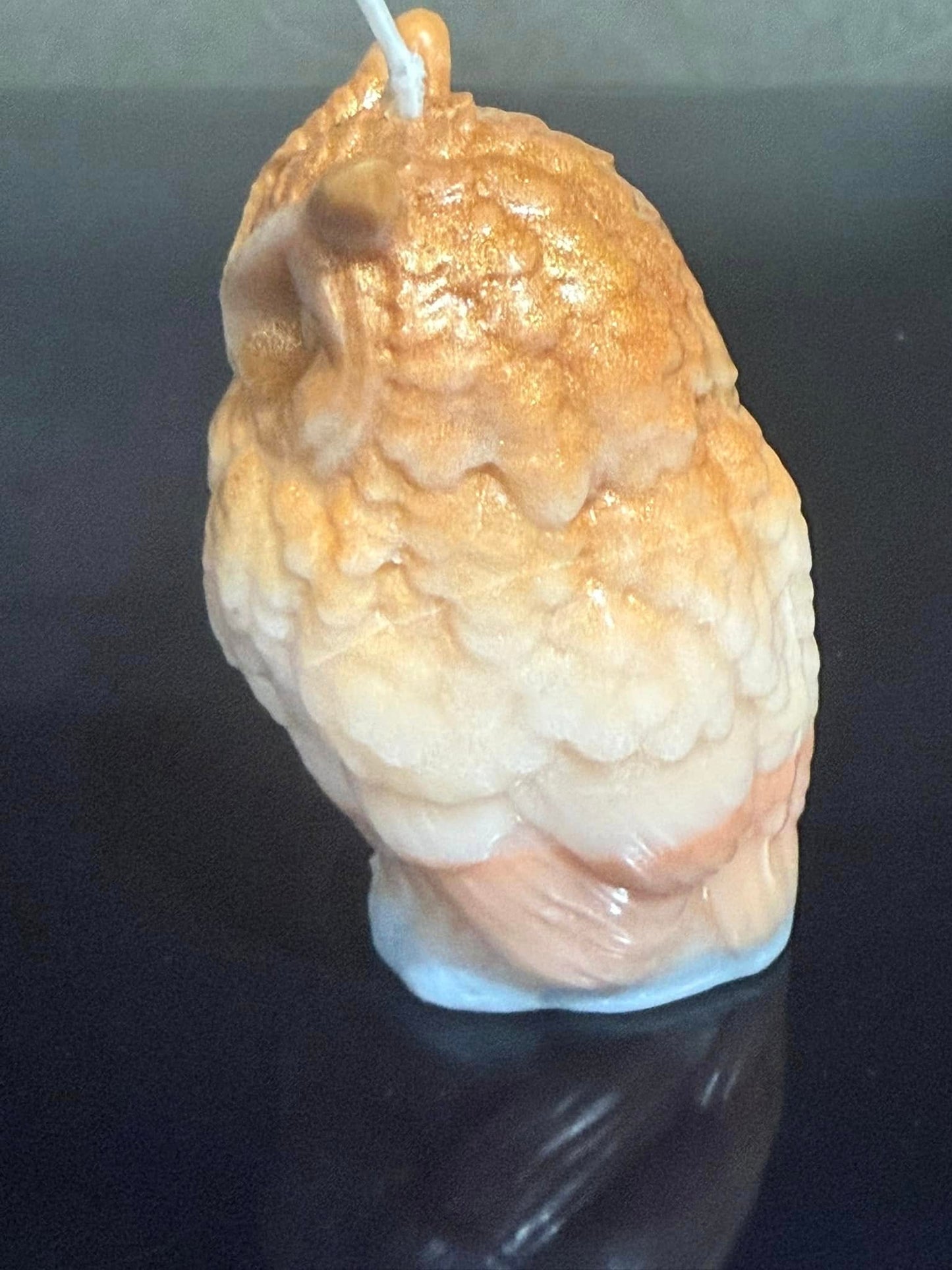 Beautiful Owl Candle