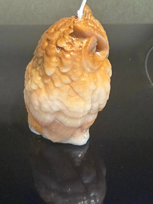 Beautiful Owl Candle