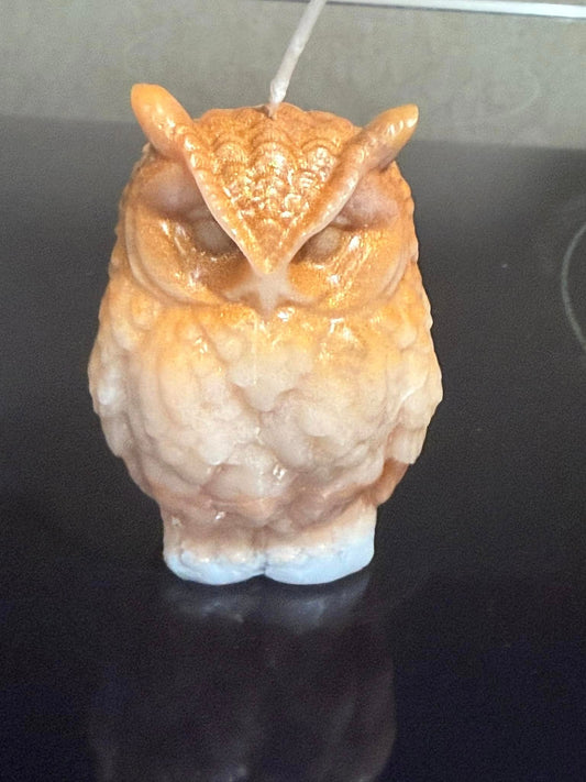 Beautiful Owl Candle